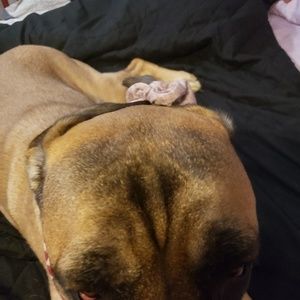 Meet your Posher, Ava